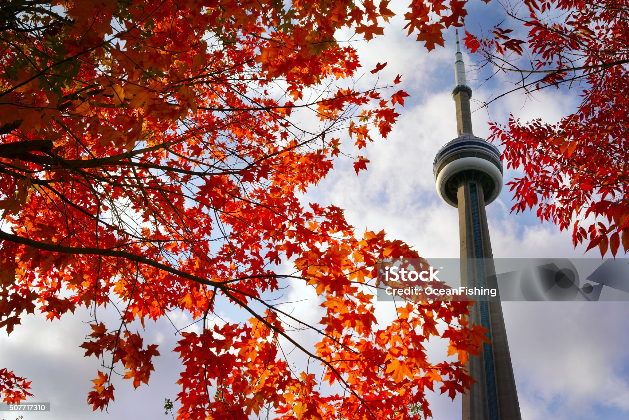 CN tower from groundview
